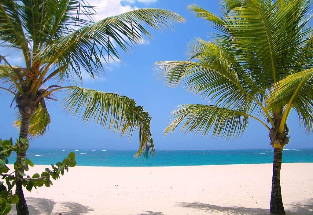 Viva Heavens By Wyndham, A Trademark All Inclusive (Adults Only) Puerto Plata Nature photo